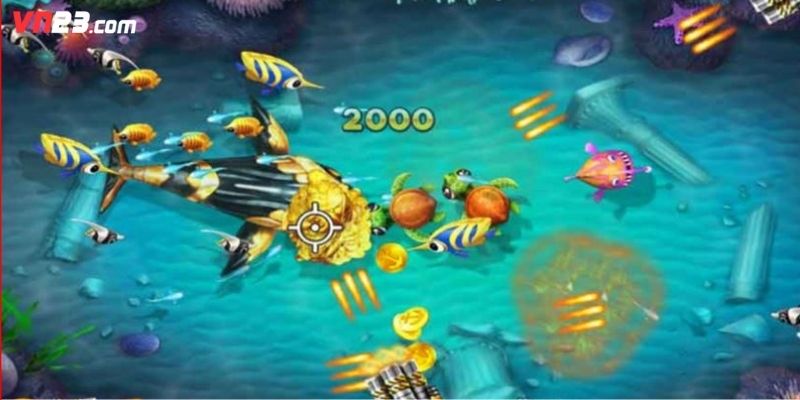 Các phiên bản phổ biến trên VN23