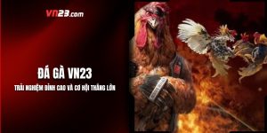 Đá Gà VN23: Trải Nghiệm Đỉnh Cao Và Cơ Hội Thắng Lớn